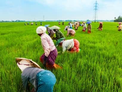 黑白体育